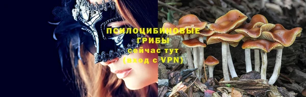 амфетамин Каменногорск