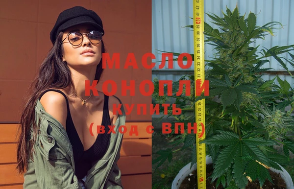 первитин Каменка