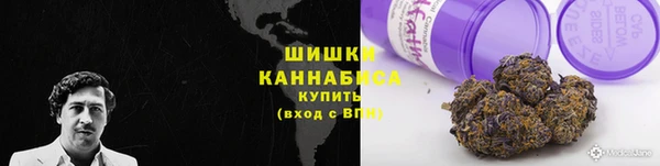 первитин Каменка