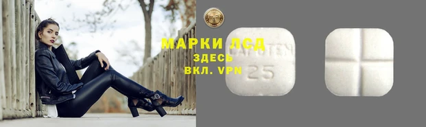 амфетамин Каменногорск