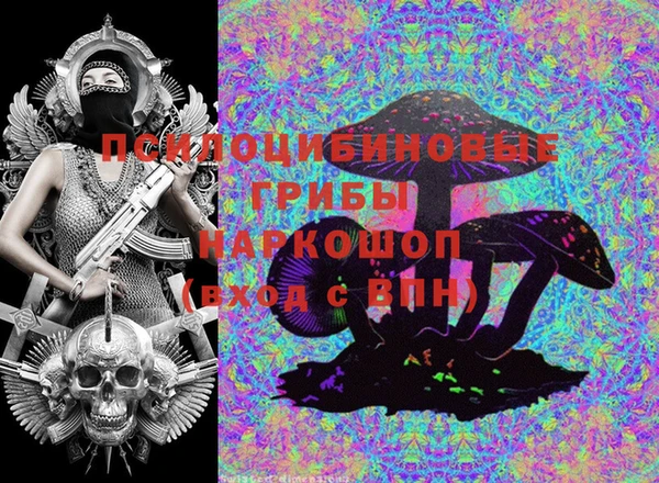 первитин Каменка