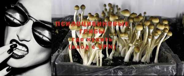 первитин Каменка
