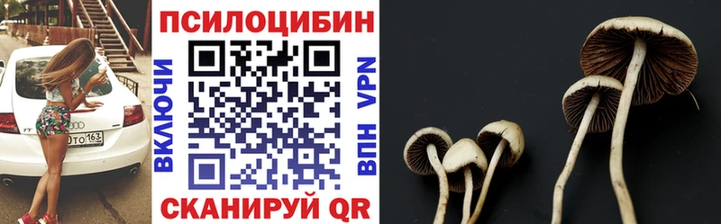Купить  Луховицы  Галлюциногенные грибы MAGIC MUSHROOMS 